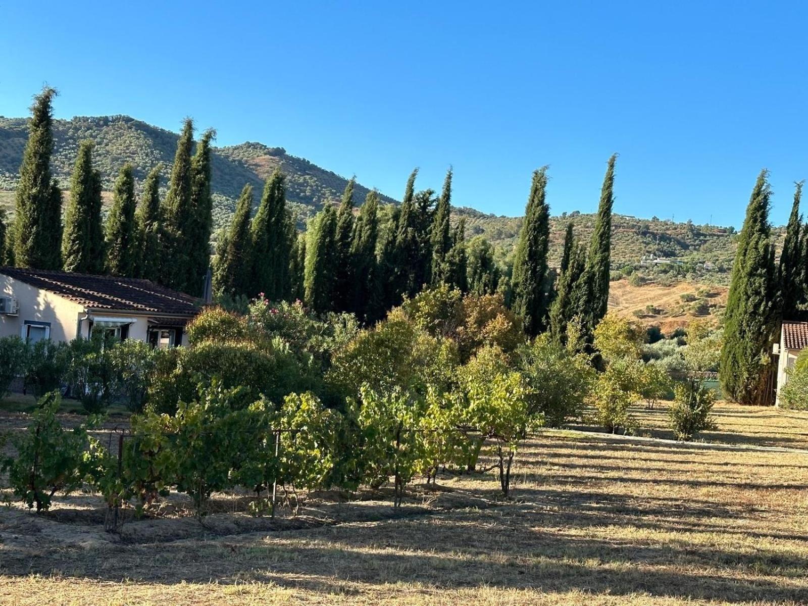 Casita Higo Casa vacanze Olvera