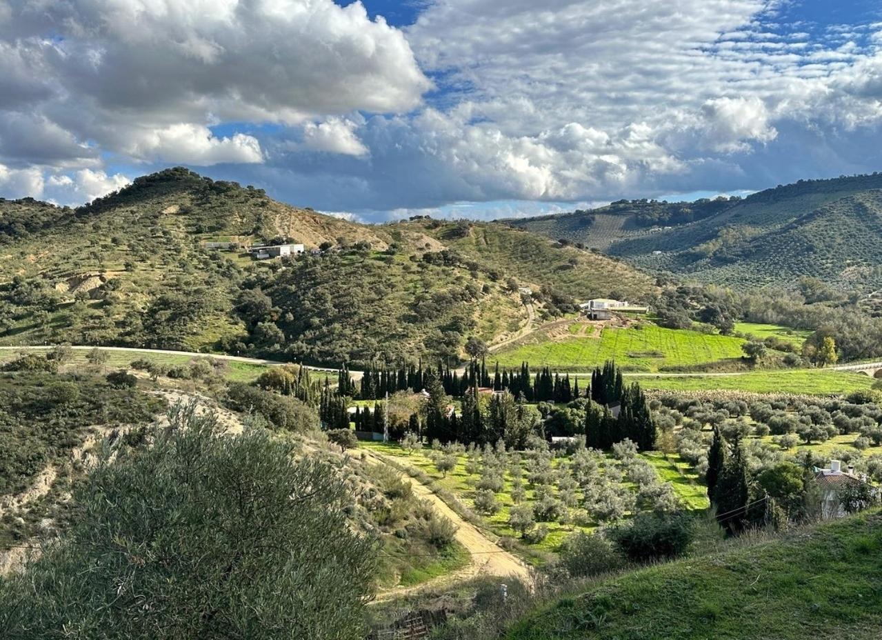 Casa vacanze Casita Higo